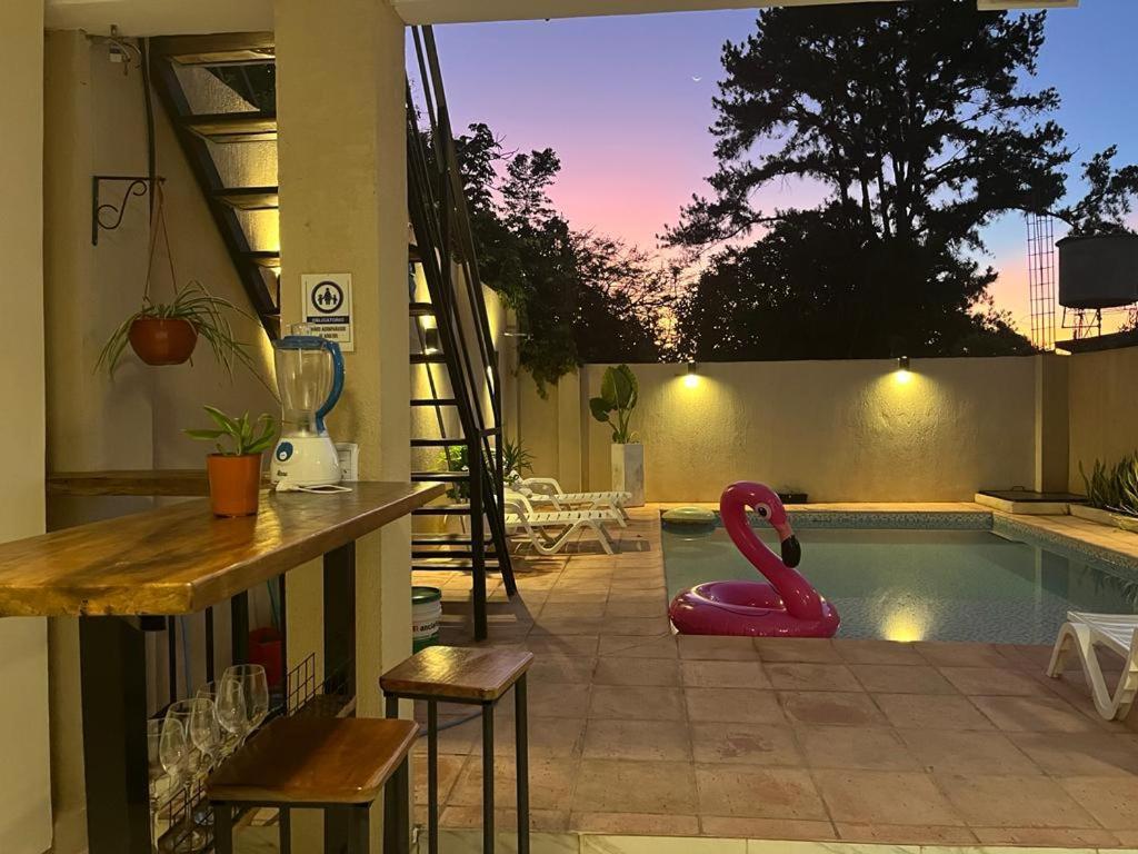 Colibri Hostel Пуерто Игуасу Екстериор снимка