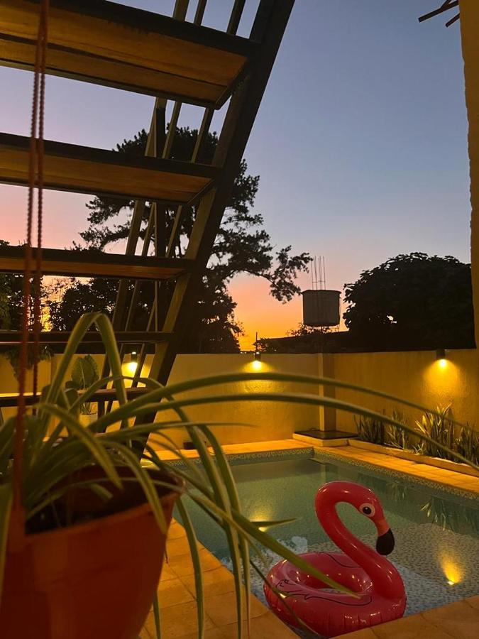 Colibri Hostel Пуерто Игуасу Екстериор снимка